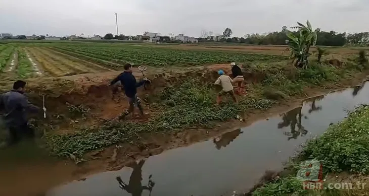 Yılan dedektörü ile yuva buldular! Toprağın altından 100 tane kobra çıkardılar