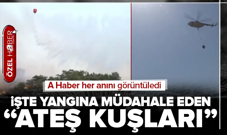 Ateş kuşları görevde! A Haber görüntüledi