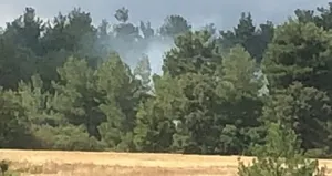 Kütahya’da yıldırım düşmesi sonucu orman yangını çıktı!