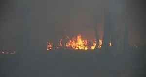 Kaz Dağları’nda yangın!