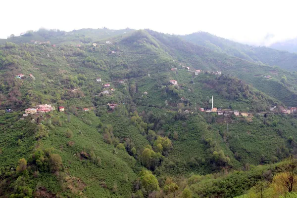 Kemal Sunal’ın ‘Satılık Köy’ filmi gerçek oldu! Köy icradan satılığa çıktı - 1