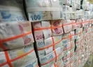 Varlık Fonuna 2 devir daha