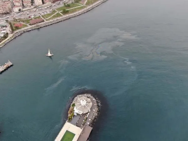 Marmara Denizi’nde canlıların yaşamını etkileyen atıklar gün yüzüne çıktı