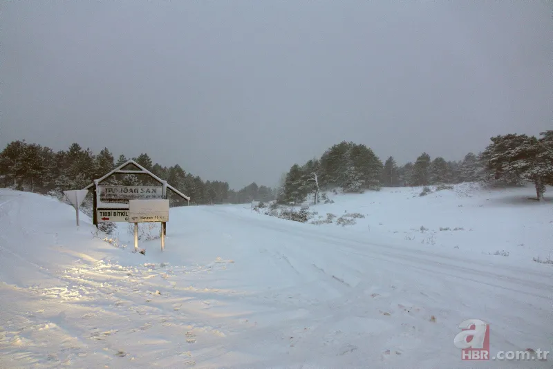 Son dakika: Kar tatili haberi geldi! Bugün bu illerde okullar tatil! 14