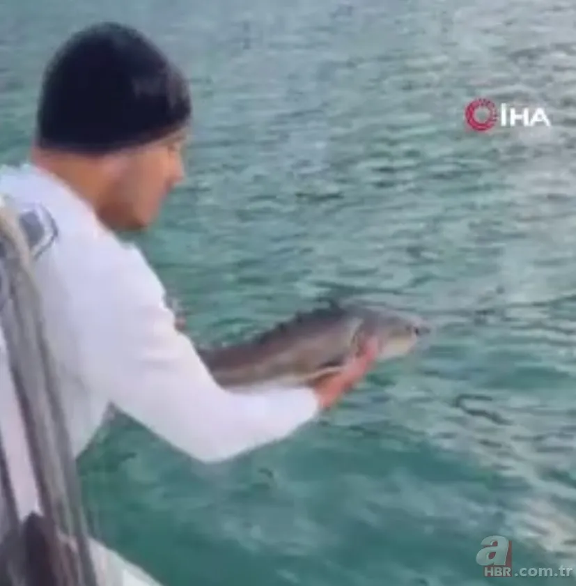 Balıkçılar oltayla yakaladı! Tam 317 kilo | 4 saat 45 dakika mücadele ettiler 🐟 6