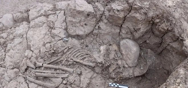 Tunceli’de 5 bin 500 yıllık iskelet bulunu