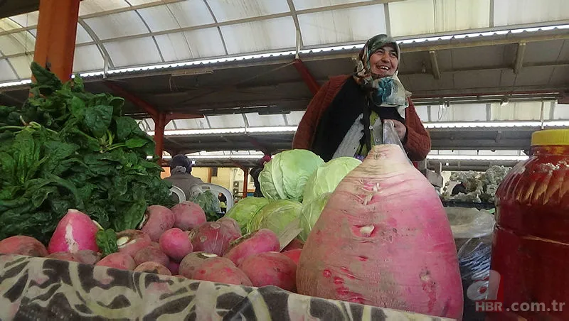 Yetiştirdiği çilek hayrete düşürdü! 45 günden fazla sürdü... Guinness Rekorlar Kitabı'na girdi 12