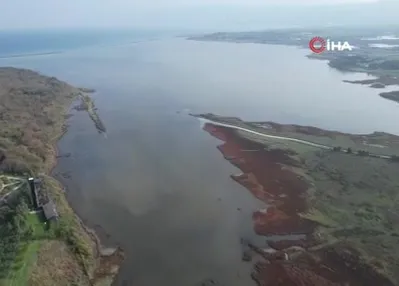 Altınova’da flamingo popülasyonu artıyor