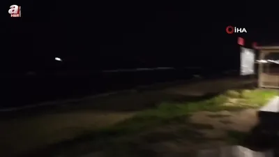 Tekirdağ sahilde tilki görüntülendi