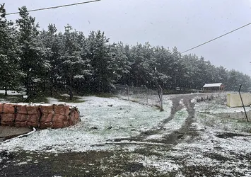 Bayramın ilk günü "kar" sürprizi! Ardahan beyaza büründü