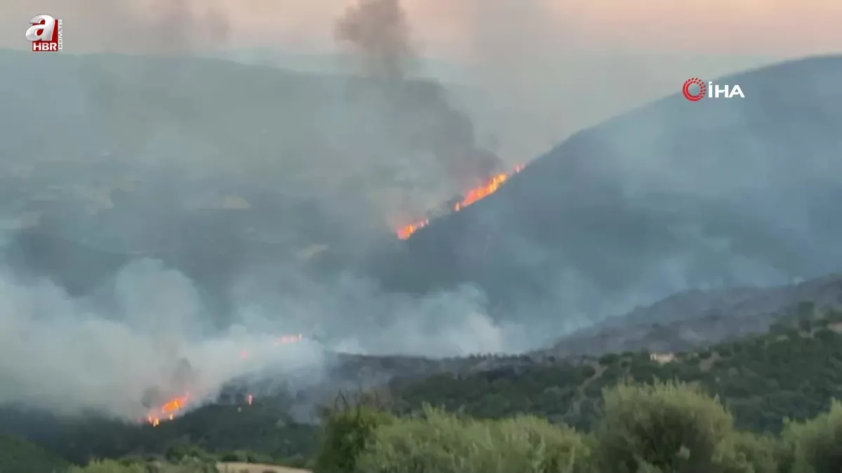 Manisa'daki yangın Uşak'a doğru ilerliyor