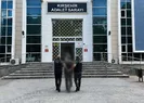 Terör örgütü propagandasına geçit yok