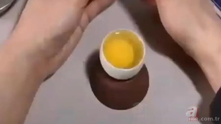 İşte civcivin yumurta içindeki gelişimi 🐣 İğne ile enjekte etti gün gün görüntüledi 🥚 24