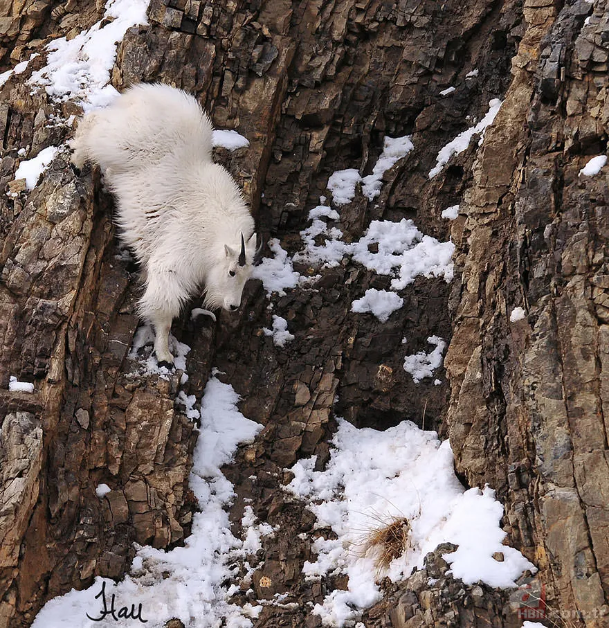 Yerçekimine meydan okuyorlar 2