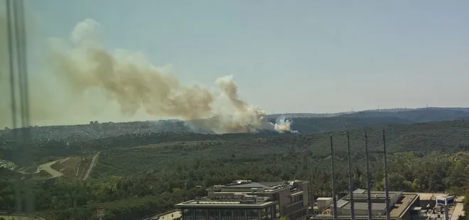 Sultangazi Kent Ormanı’nda yangın! Alevler söndürüldü