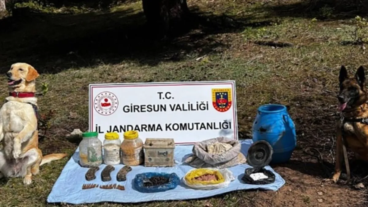 PKK'nın sözde Karadeniz açılım grubuna darbe: Giresun'da teröristlerin sığınakları imha edildi!