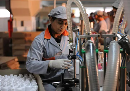 Hane Bazlı İstihdam Destek Sistemi geliyor! Hedef 2028 yılına kadar 5 milyon istihdam