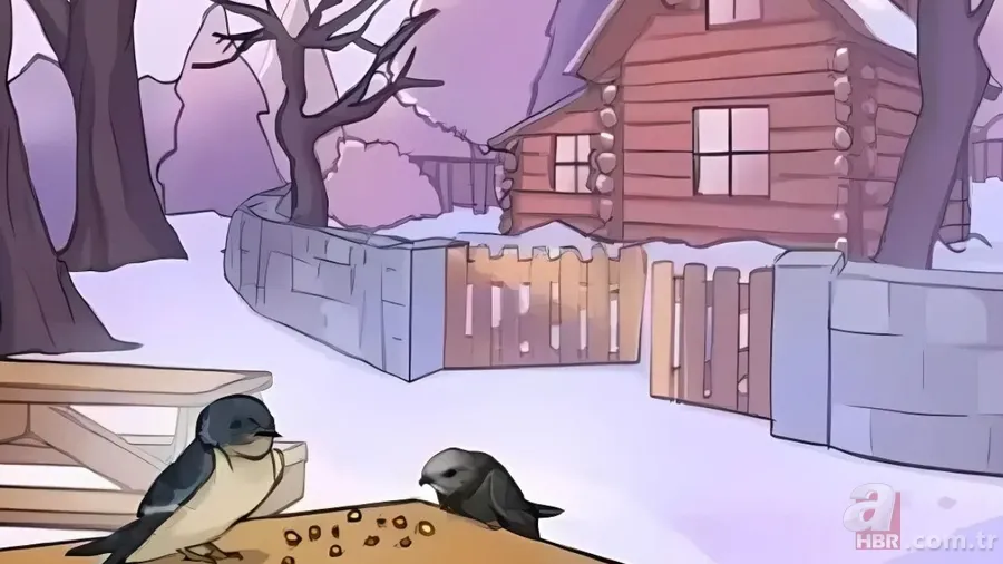 Zeka testi: Bu görseldeki gizli hata nerede? Sadece Sherlock Holmes gibi düşünenler buluyor 2