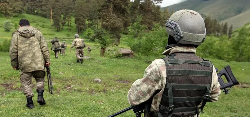 Eruh'ta PKK'nın sözde grup sorumlusu öldürüldü