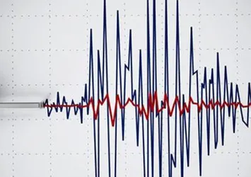 İsviçre'de 4,6 büyüklüğünde deprem