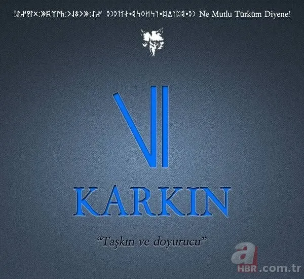 Türkiye'de hangi il hangi Türk boyundan geliyor? Şehirlerin soyağacı ortaya çıktı! 48