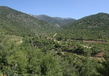 PKK'ya Amanoslar'da darbe
