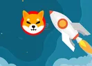 Shiba coin yükselir mi?