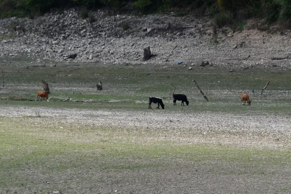 Türkiye sel ve kuraklık tehlikesine karşı harekete geçti! İki bakan açıkladı: Başkan Erdoğan duyuracak