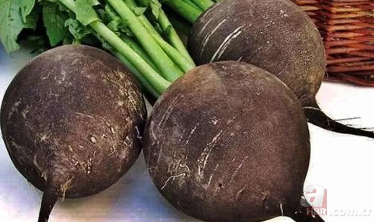 Öksürük ve bronşit için neler tüketilmeli? 4