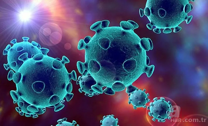 ABD’den yeni tip koronavirüs coronavirus ile ilgili kritik veri! 17 gün...