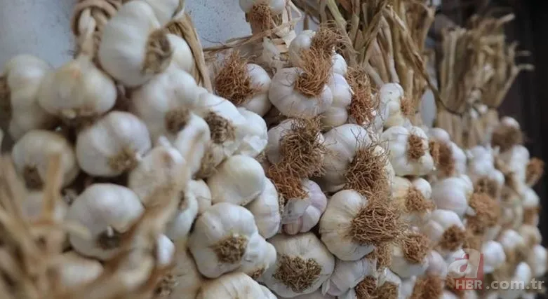 Bu besinlere dikkat! Buzdolabına koyarsanız zehre dönüşüyor | Farkına varmadan kendinizi zehirleyebilirsiniz 5