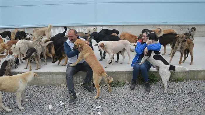 Son dakika: Çevre Şehircilik ve İklim Değişikliği Bakanlığından 81 ilin valilik ve belediyelerine genelge - 1
