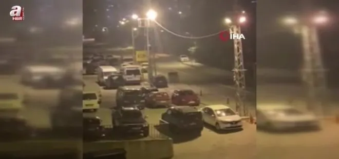 Borçka ilçe merkezine inen ayılar cadde ve sokaklarda dolaştı