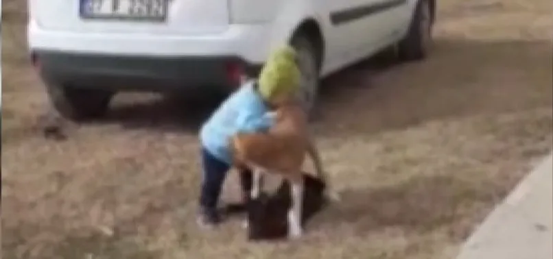 Kahramanmaraş'ta küçük çocuğun köpeğini koruduğu anlar gülümsetti