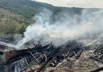 İzmit'te köy evinin ahırında yangın! 13 hayvan telef oldu...