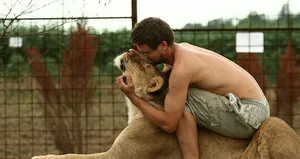 Aslan kendisini besleyen sahibini öldürdü