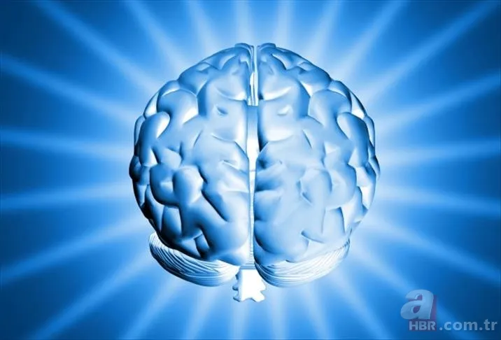 Siz uyurken bile o uyanık! Bilim insanları sırrı çözdü: Beyin neden kapanmıyor? 8