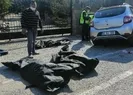 Çaresizlik! Yürek yakan kare