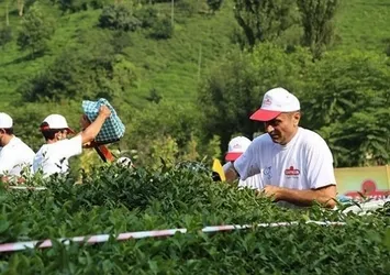 ÇAYKUR’dan Rize – Trabzon – Artvin’de 830 işçi alımı… ÇAYKUR işçi alımı başvuru şartları nelerdir?