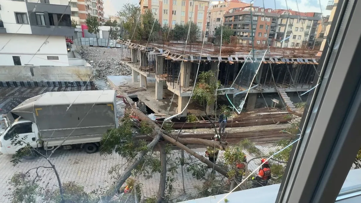Avcılar’da devrilen ağaç faciası! Ölümün teğet geçtiği an: "Cana geleceğine mala gelsin!" - 5