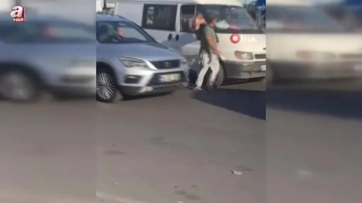 Tekirdağ'da yavru kedi trafikte sürücülere zor anlar yaşattı