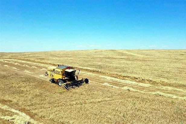 Türk askerinin PKK'dan temizlediği Tel Abyad'da işgal bitti, ticaret başladı! - 3