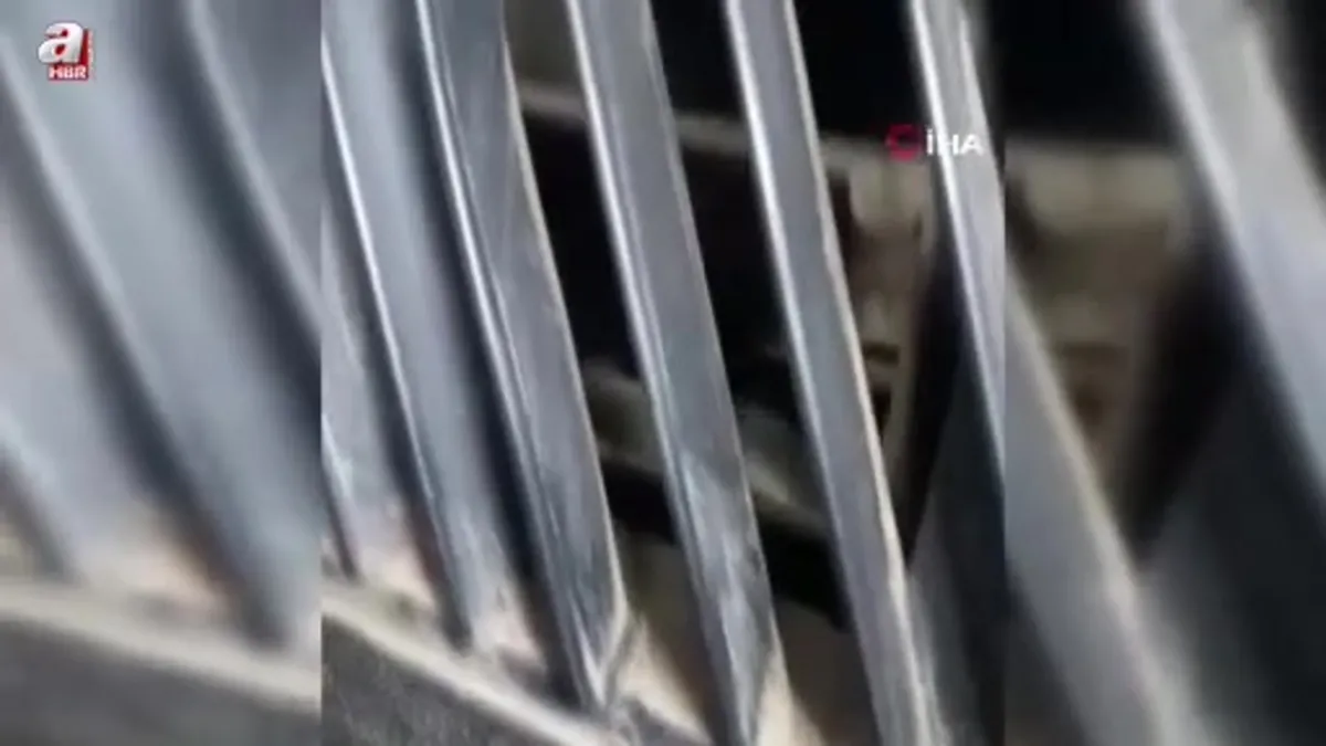 Otomobilin torpidosuna sıkışan yavru kedi ustaların seferberliğiyle kurtarıldı