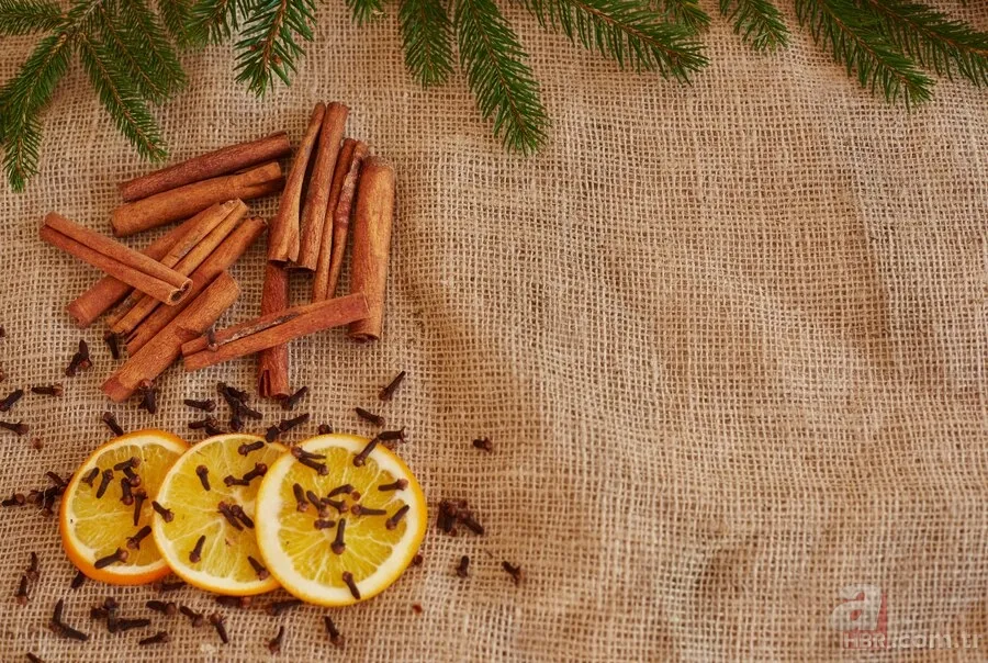 Karınca istilasına doğal çare: Bu baharatla onları evinizden uzaklaştırın! 2