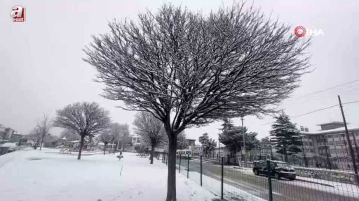 Erzincan'da kar yağışı görsel şölen oluşturdu