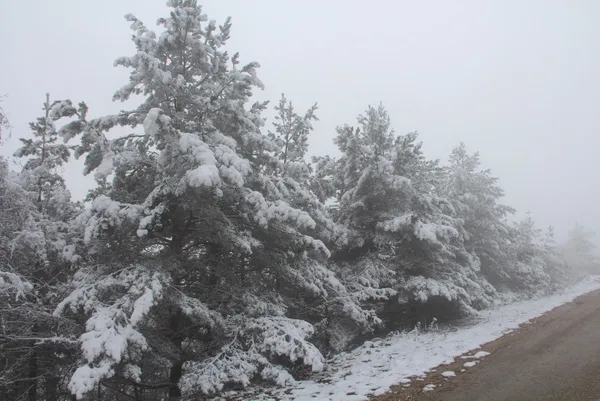 Kara kış geldi ❄️ Beyaz örtüyle kaplanacaklar | Meteoroloji uyardı: Pazar gününe dikkat | Zemheri etkili olmaya başlıyor - 7