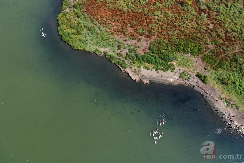 CHP'li İBB'nin Haliç yalanı! Kirlilik yine gün yüzüne çıktı 6