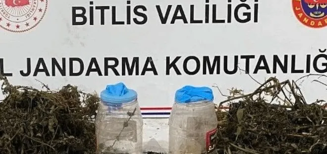 Bitlis'te uyuşturucu operasyonu!