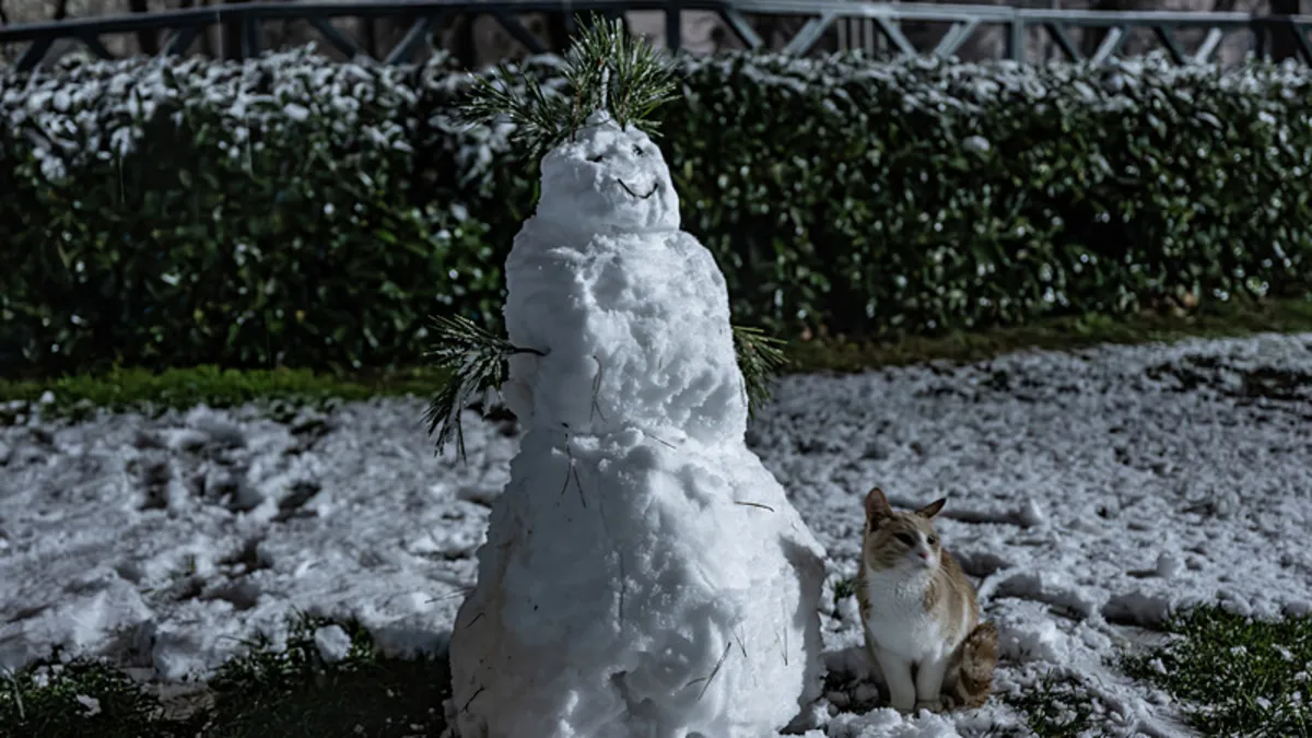 İstanbul'a beklenen kar geldi...