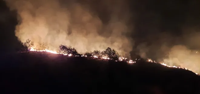 Hatay'daki yangın kontrol altına alındı